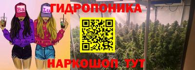 шишки Коммунар