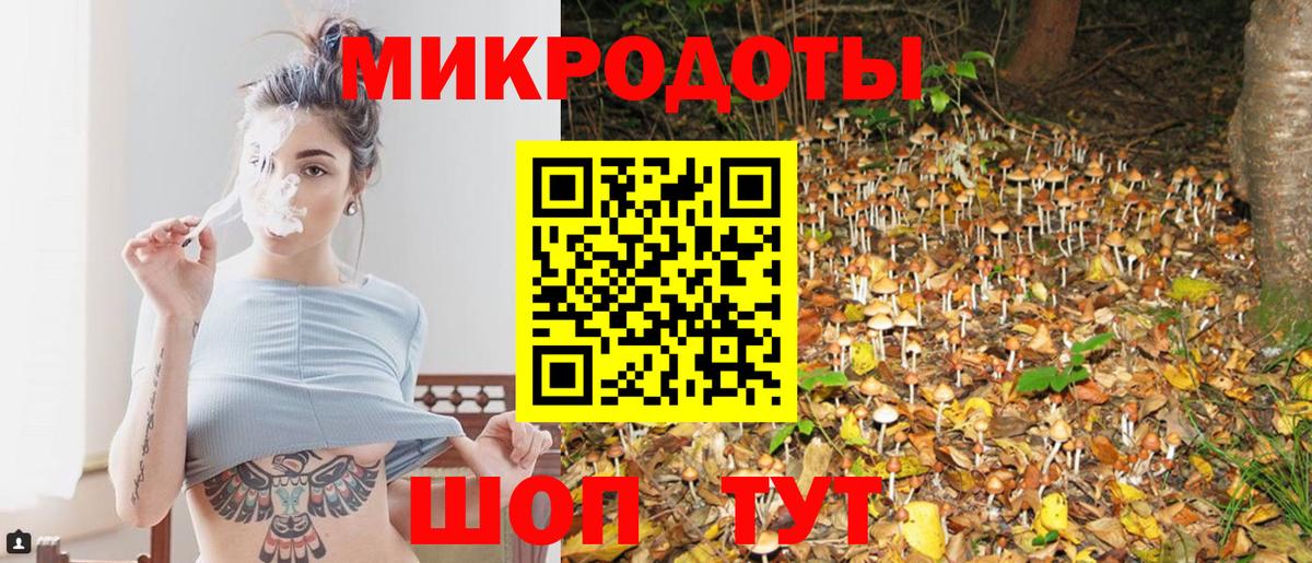 Качканар  Псилоцибиновые грибы мицелий  Вход с VPN 